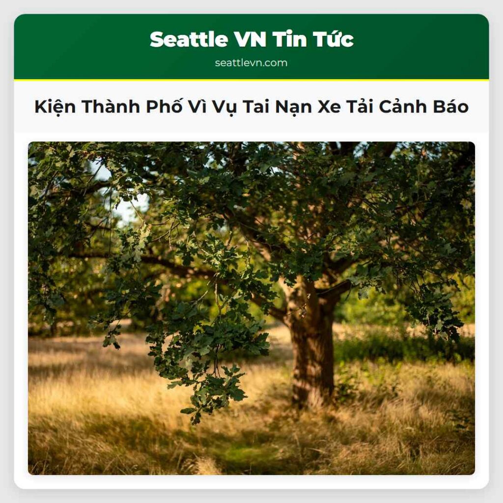 Kiện Thành Phố Vì Vụ Tai Nạn Xe Tải Cảnh Báo