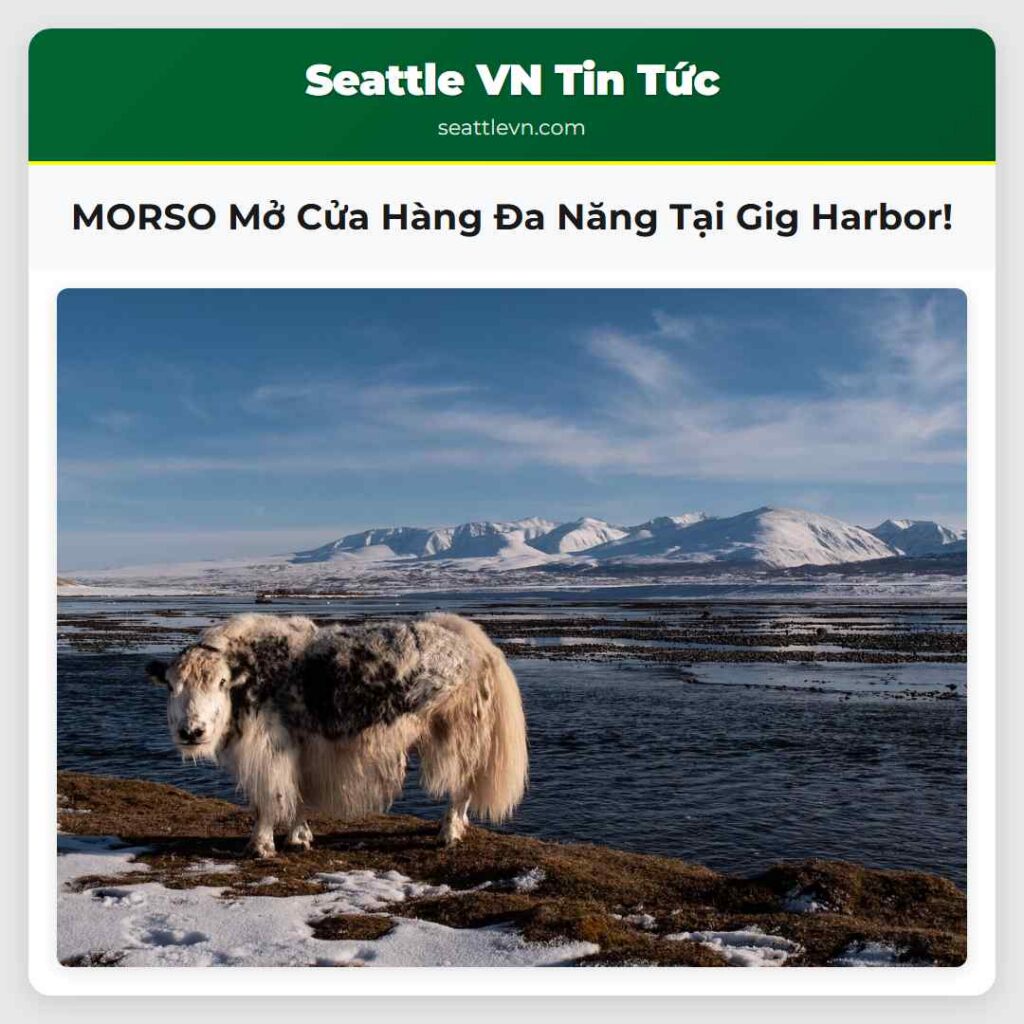 MORSO Mở Cửa Hàng Đa Năng Tại Gig Harbor!