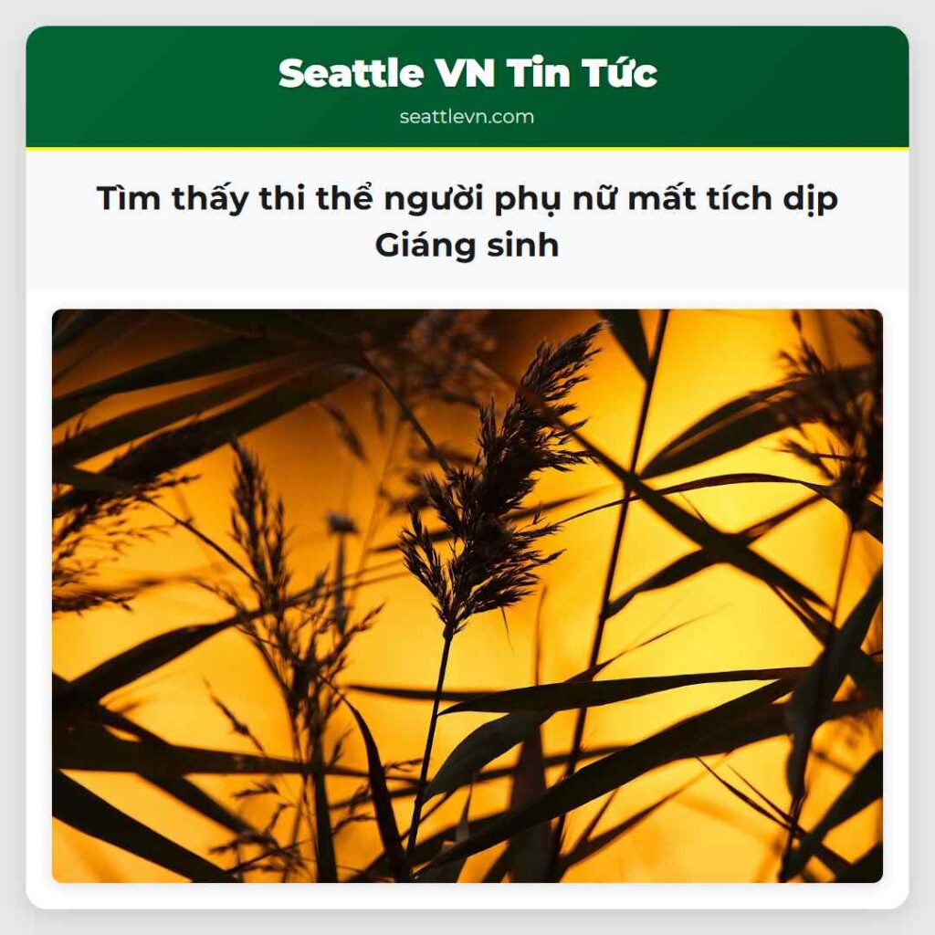 Tìm thấy thi thể người phụ nữ mất tích dịp Giáng