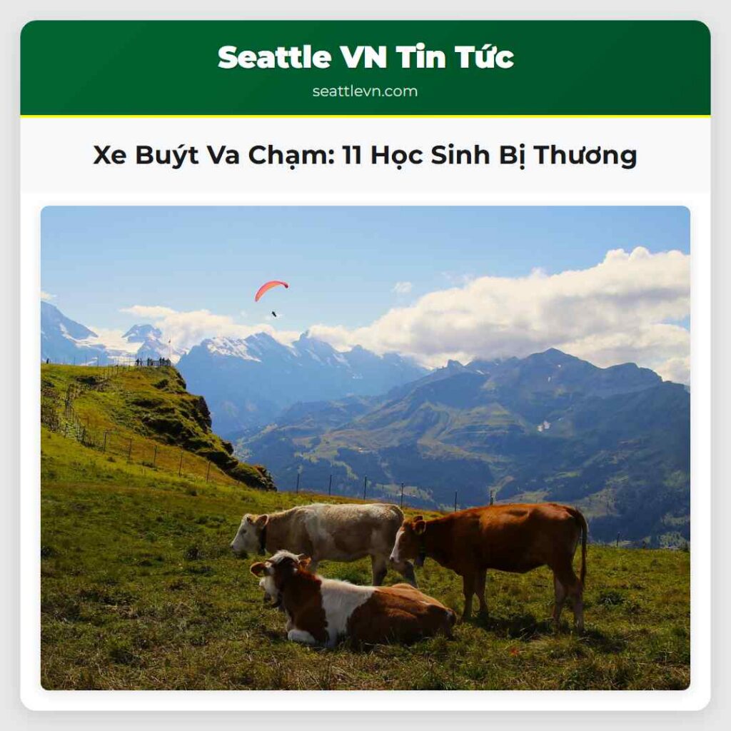 Xe Buýt Va Chạm: 11 Học Sinh Bị Thương