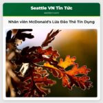 Nhân viên McDonalds bị cáo buộc lừa đảo thẻ tín dụng tại khu vực Drive-thru ở Texas