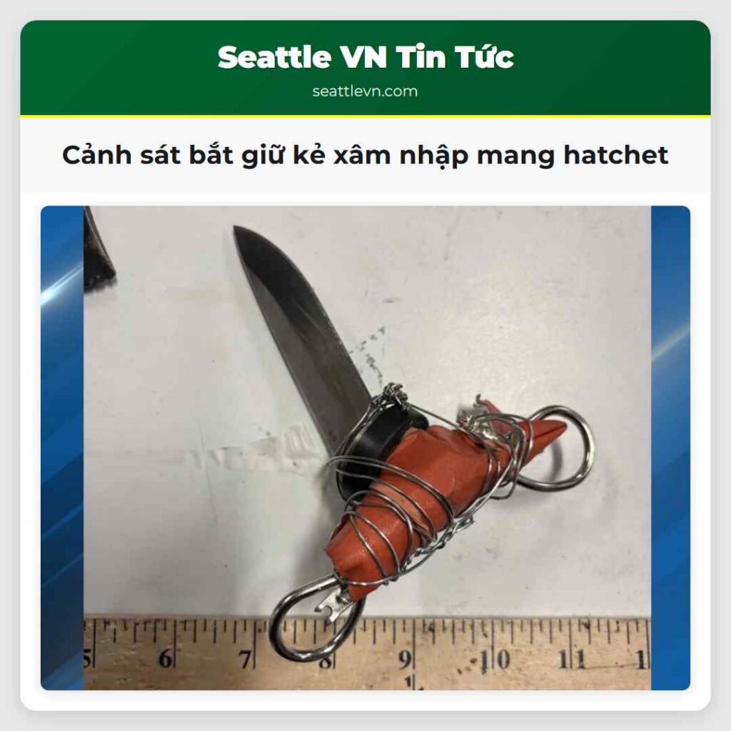 Cảnh sát bắt giữ kẻ xâm nhập mang hatchet