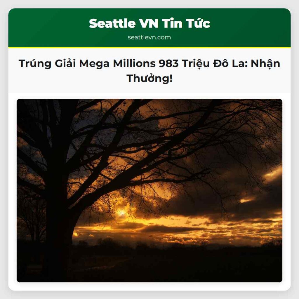 Trúng Giải Mega Millions 983 Triệu Đô La: Nhận