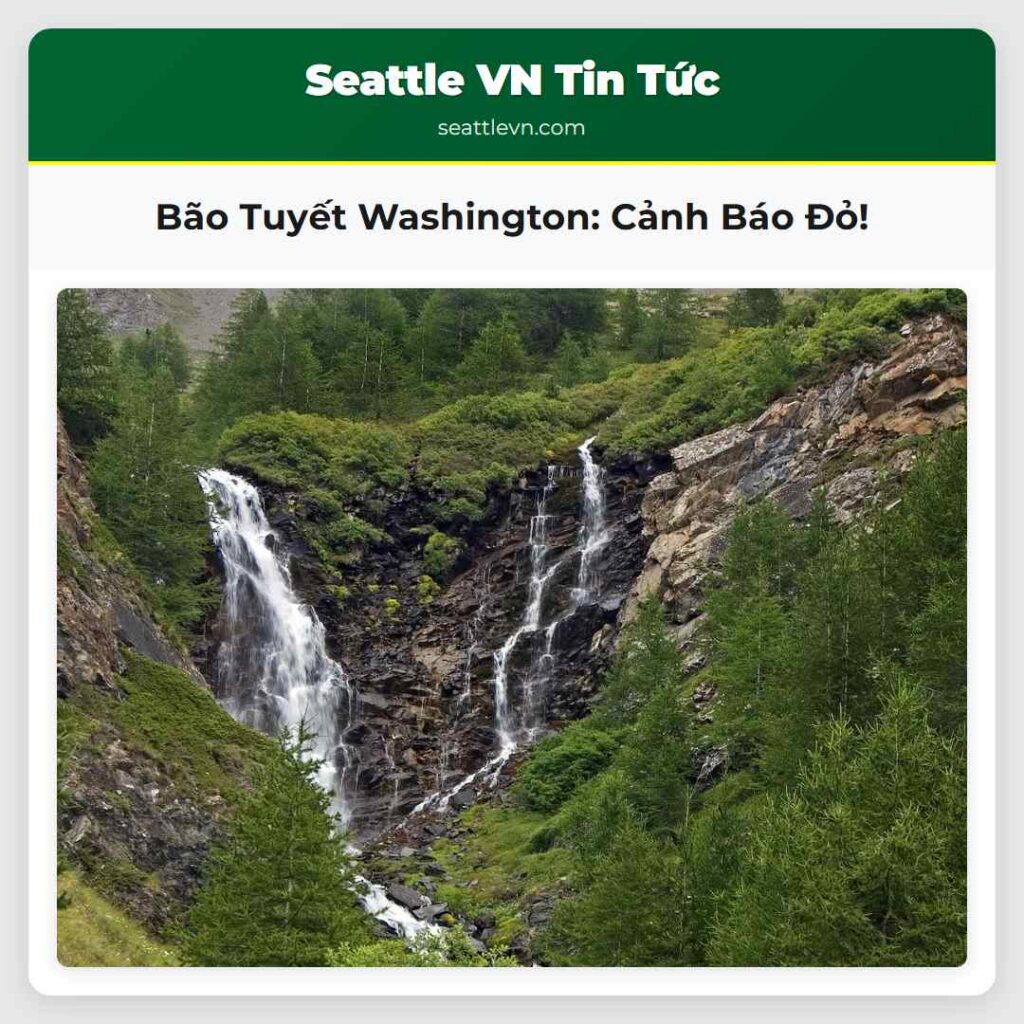 Bão Tuyết Washington: Cảnh Báo Đỏ!