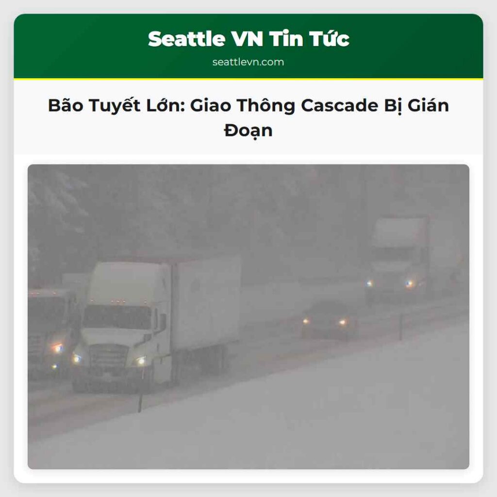 Bão Tuyết Lớn: Giao Thông Cascade Bị Gián Đoạn