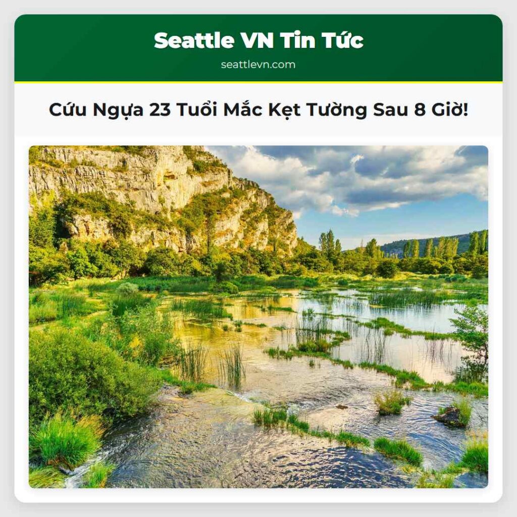 Cứu Ngựa 23 Tuổi Mắc Kẹt Tường Sau 8 Giờ!