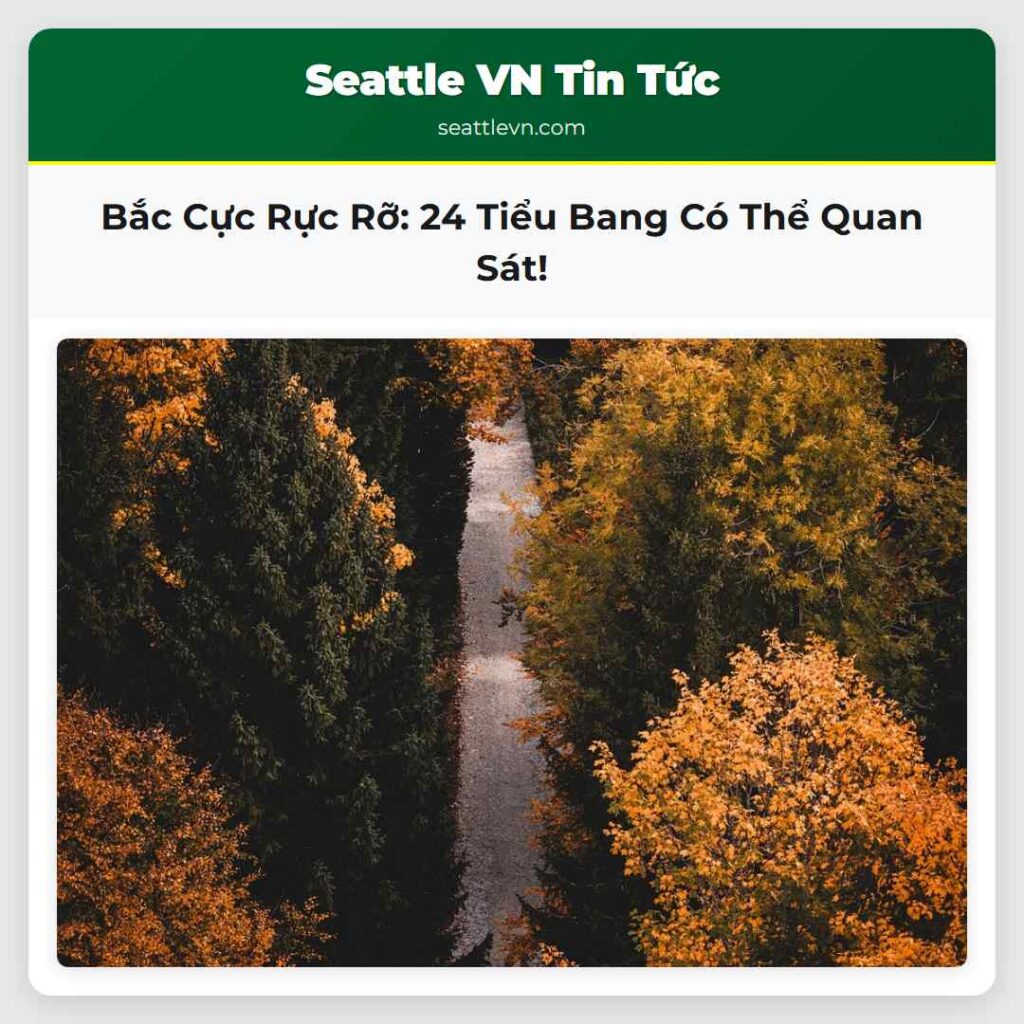 Bắc Cực Rực Rỡ: 24 Tiểu Bang Có Thể Quan Sát!