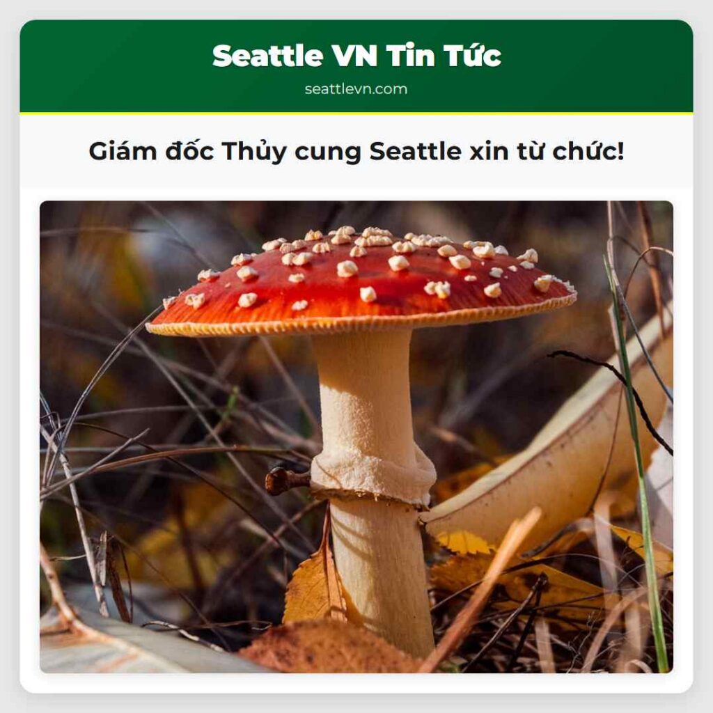Giám đốc Thủy cung Seattle xin từ chức!
