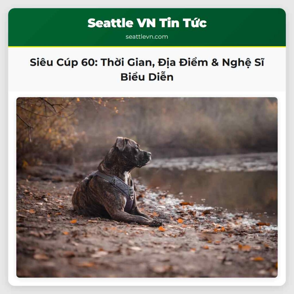 Siêu Cúp 60: Thời Gian, Địa Điểm & Nghệ Sĩ Biểu