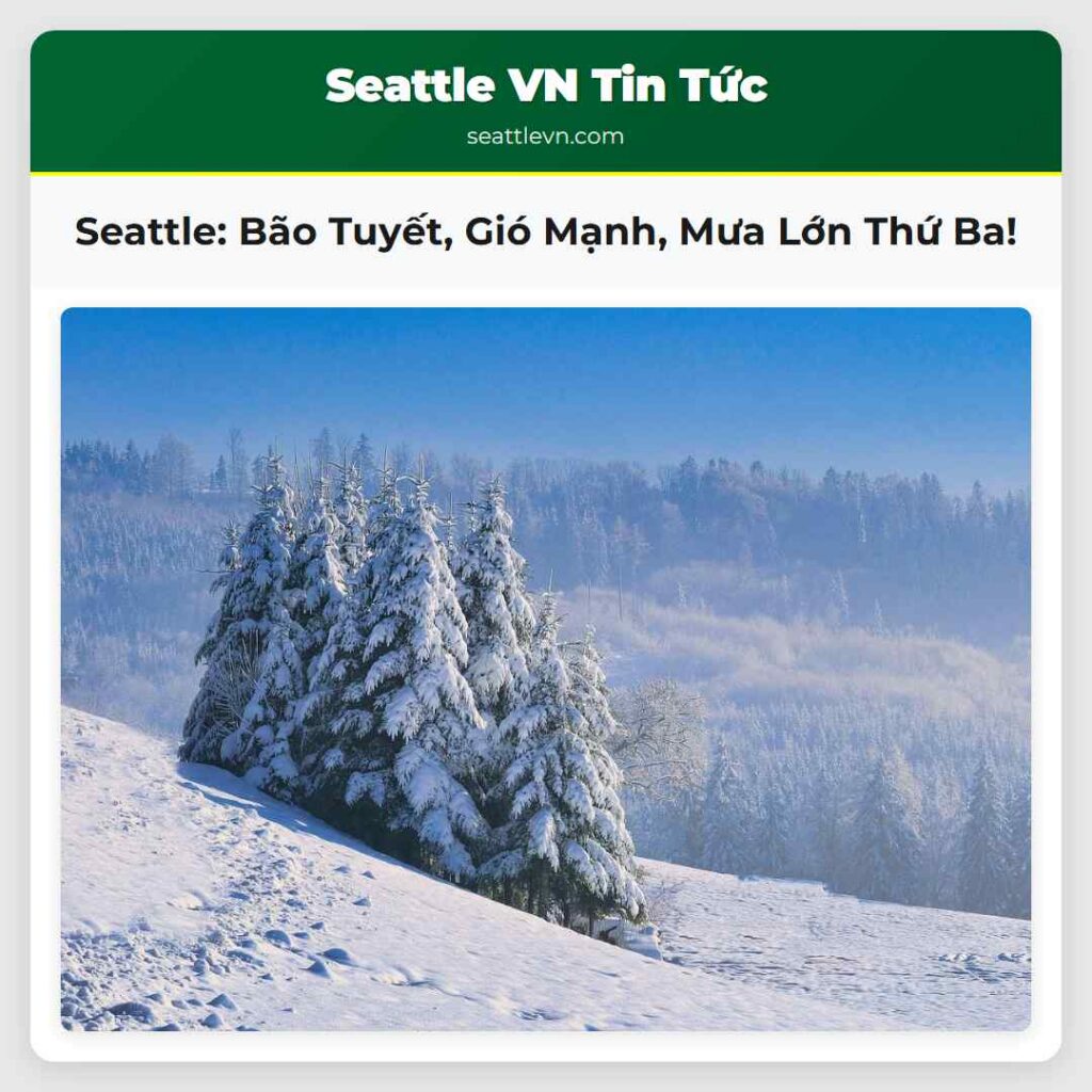 Seattle: Bão Tuyết, Gió Mạnh, Mưa Lớn Thứ Ba!