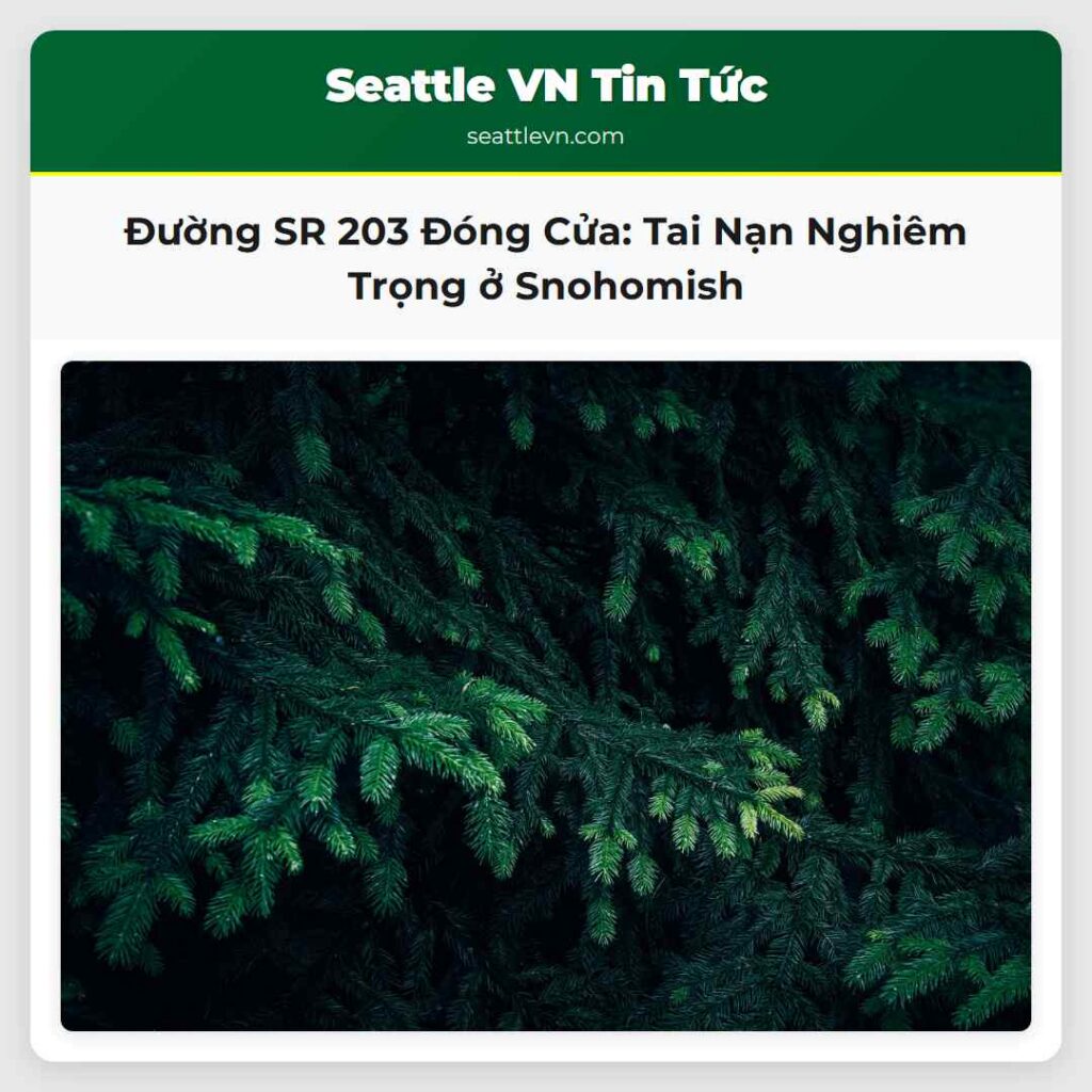 Đường SR 203 Đóng Cửa: Tai Nạn Nghiêm Trọng ở