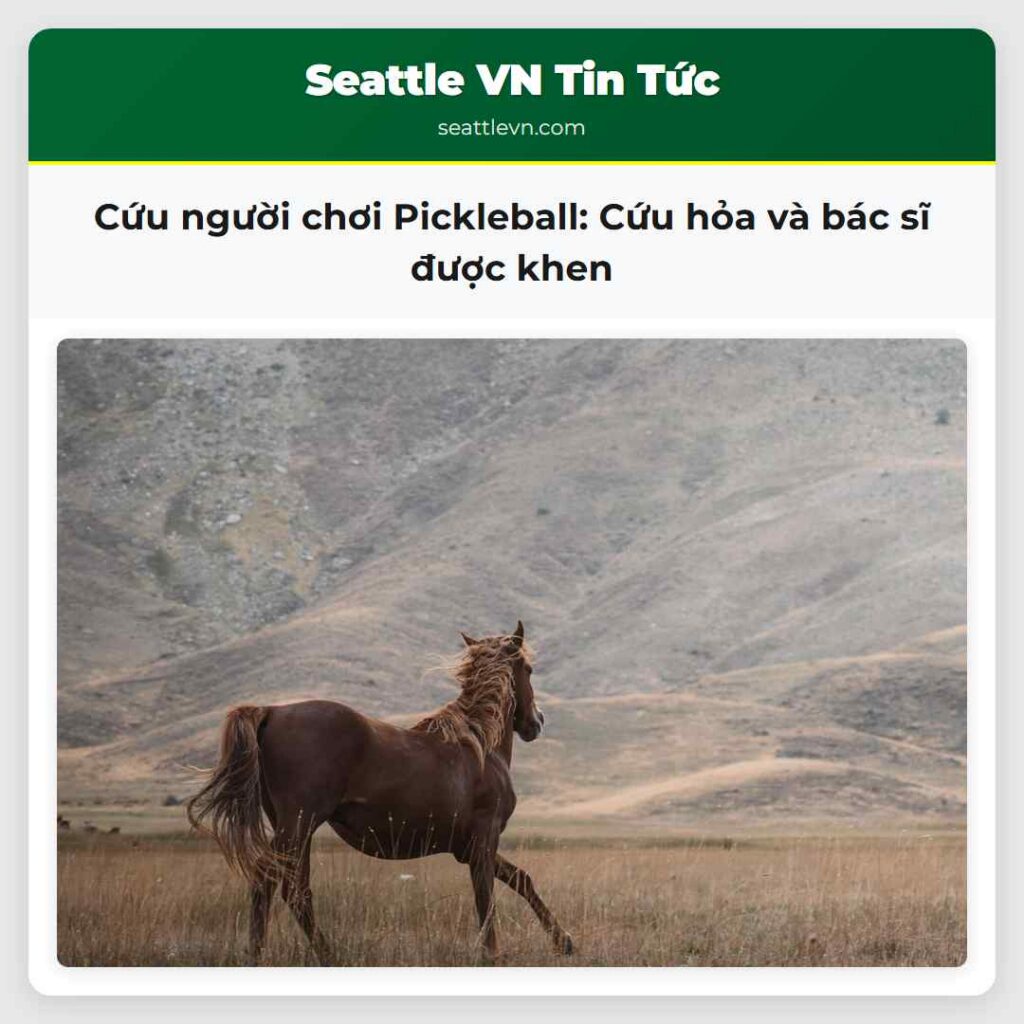 Cứu người chơi Pickleball: Cứu hỏa và bác sĩ được