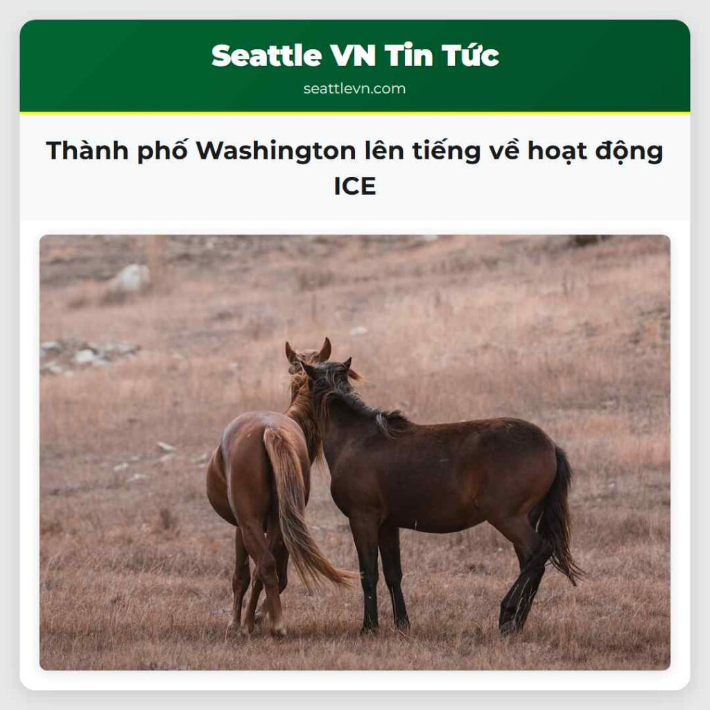 Thành phố Washington lên tiếng về hoạt động ICE