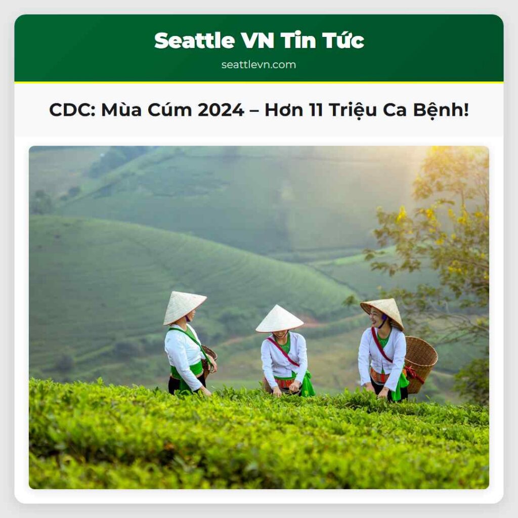 CDC: Mùa Cúm 2024 – Hơn 11 Triệu Ca Bệnh!