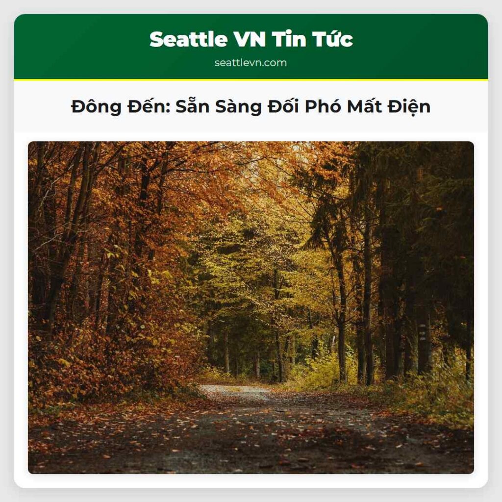 Đông Đến: Sẵn Sàng Đối Phó Mất Điện
