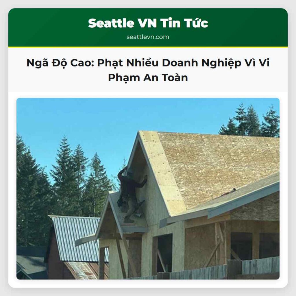 Ngã Độ Cao: Phạt Nhiều Doanh Nghiệp Vì Vi Phạm An