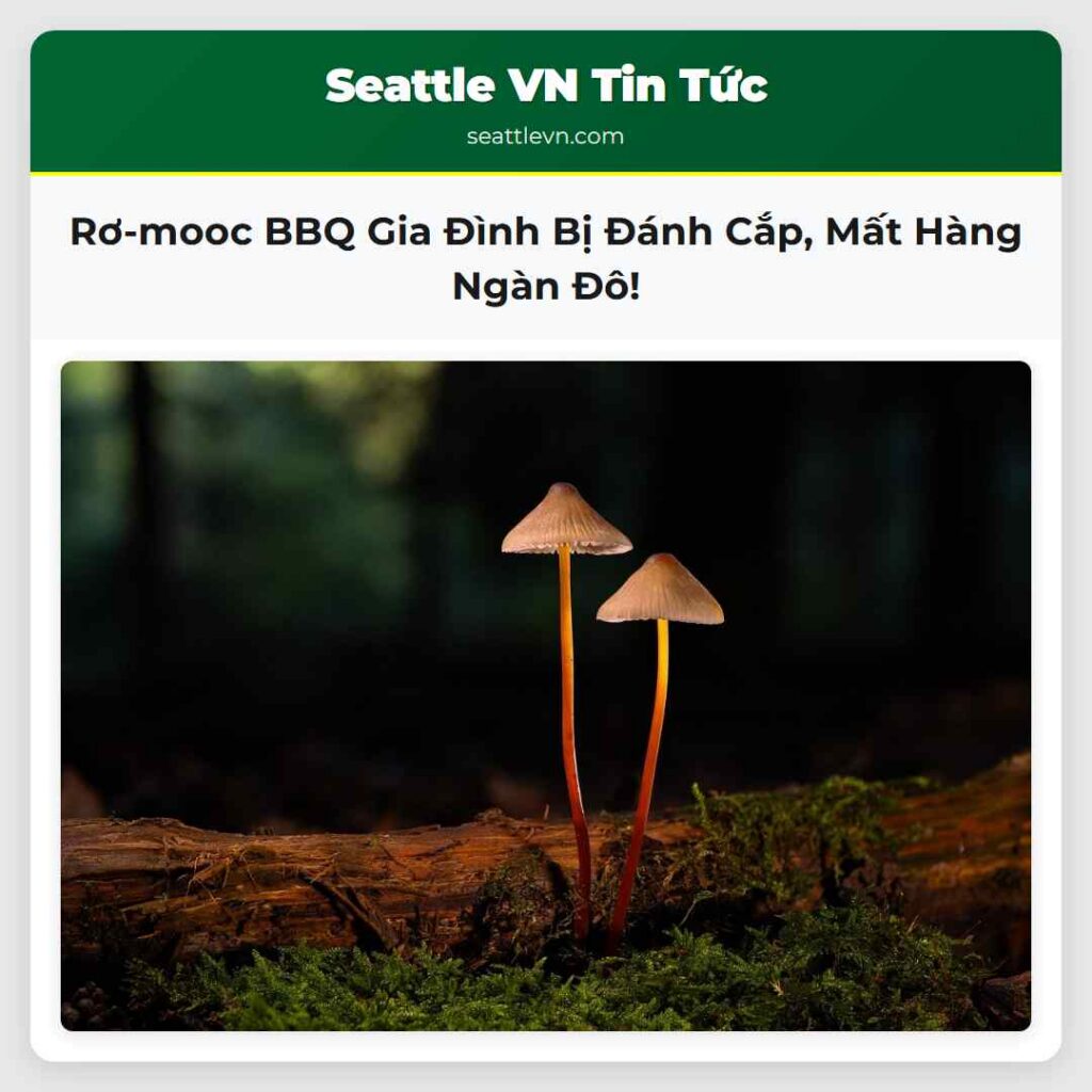 Rơ-mooc BBQ Gia Đình Bị Đánh Cắp, Mất Hàng Ngàn