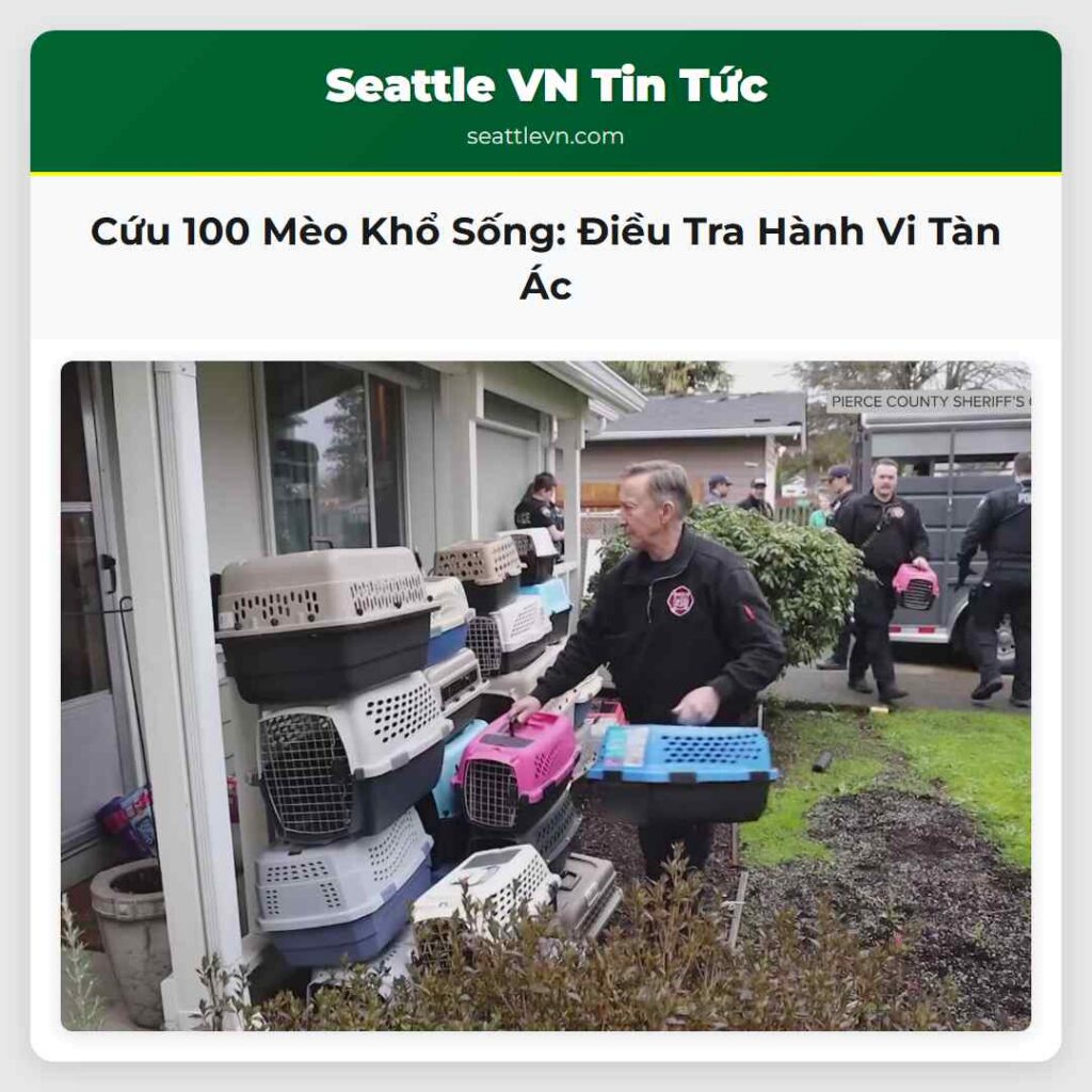 Cứu 100 Mèo Khổ Sống: Điều Tra Hành Vi Tàn Ác