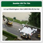 Lũ Lụt Tháng 12 Gây Thiệt Hại Nghiêm Trọng Hơn 3.800 Nhà Ở Washington