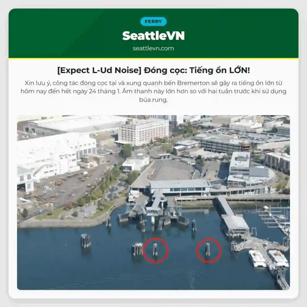 [Expect L-Ud Noise] Đóng cọc: Tiếng ồn LỚN!