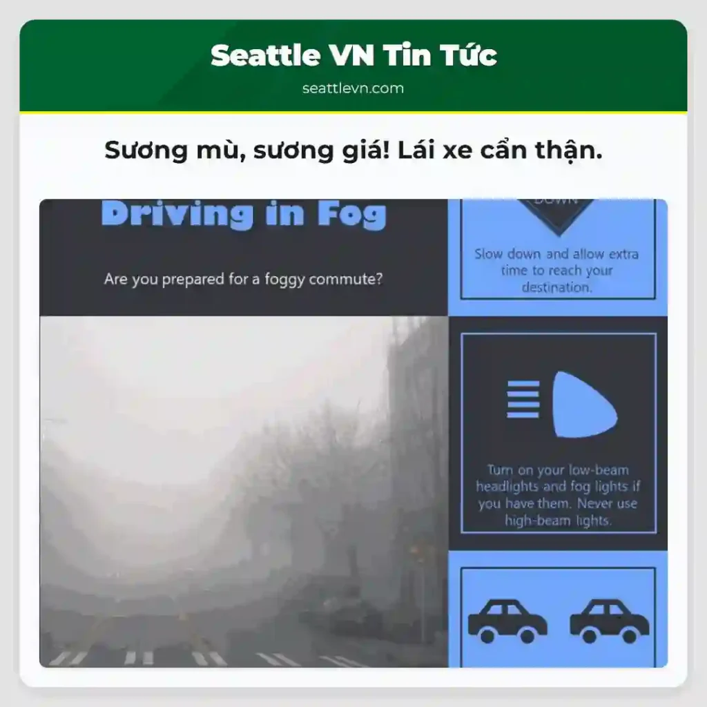 Sương mù, sương giá! Lái xe cẩn thận.