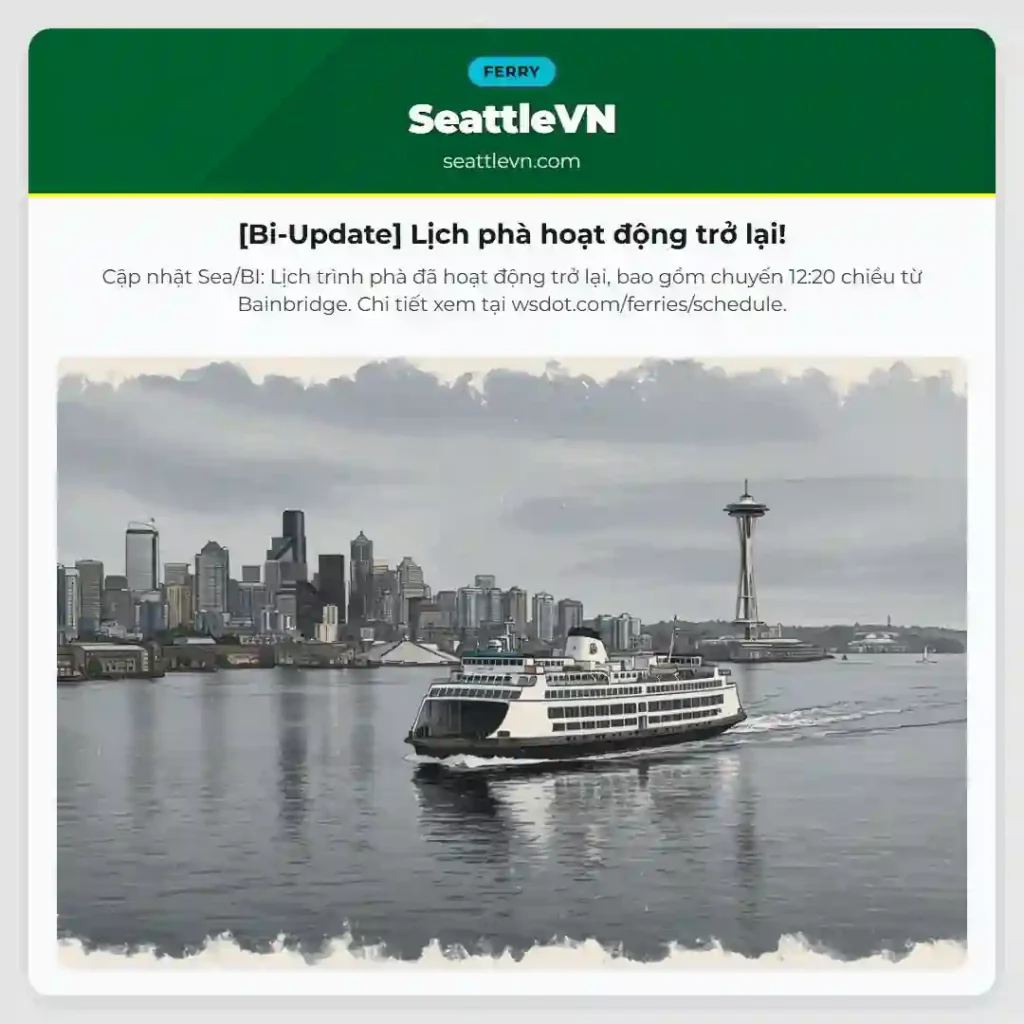 [Bi-Update] Lịch phà hoạt động trở lại!