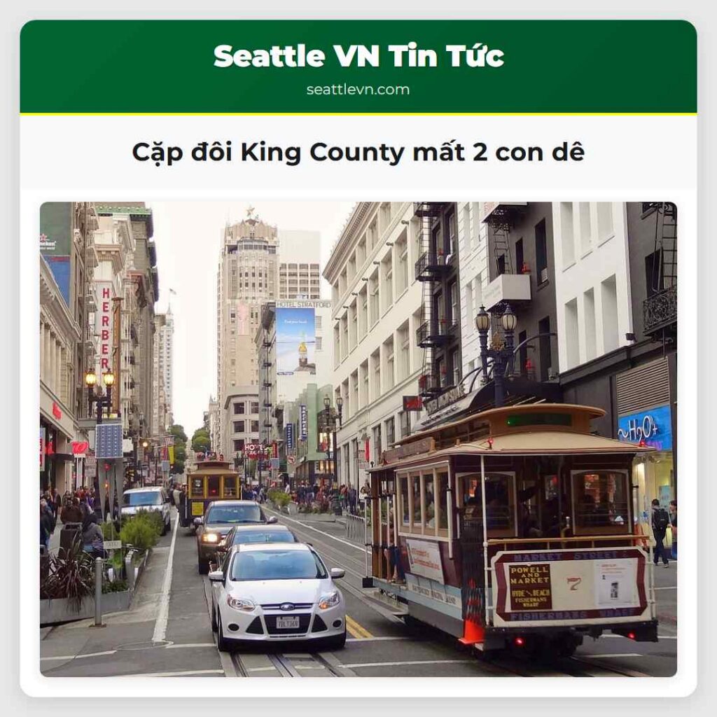 Cặp đôi King County mất 2 con dê