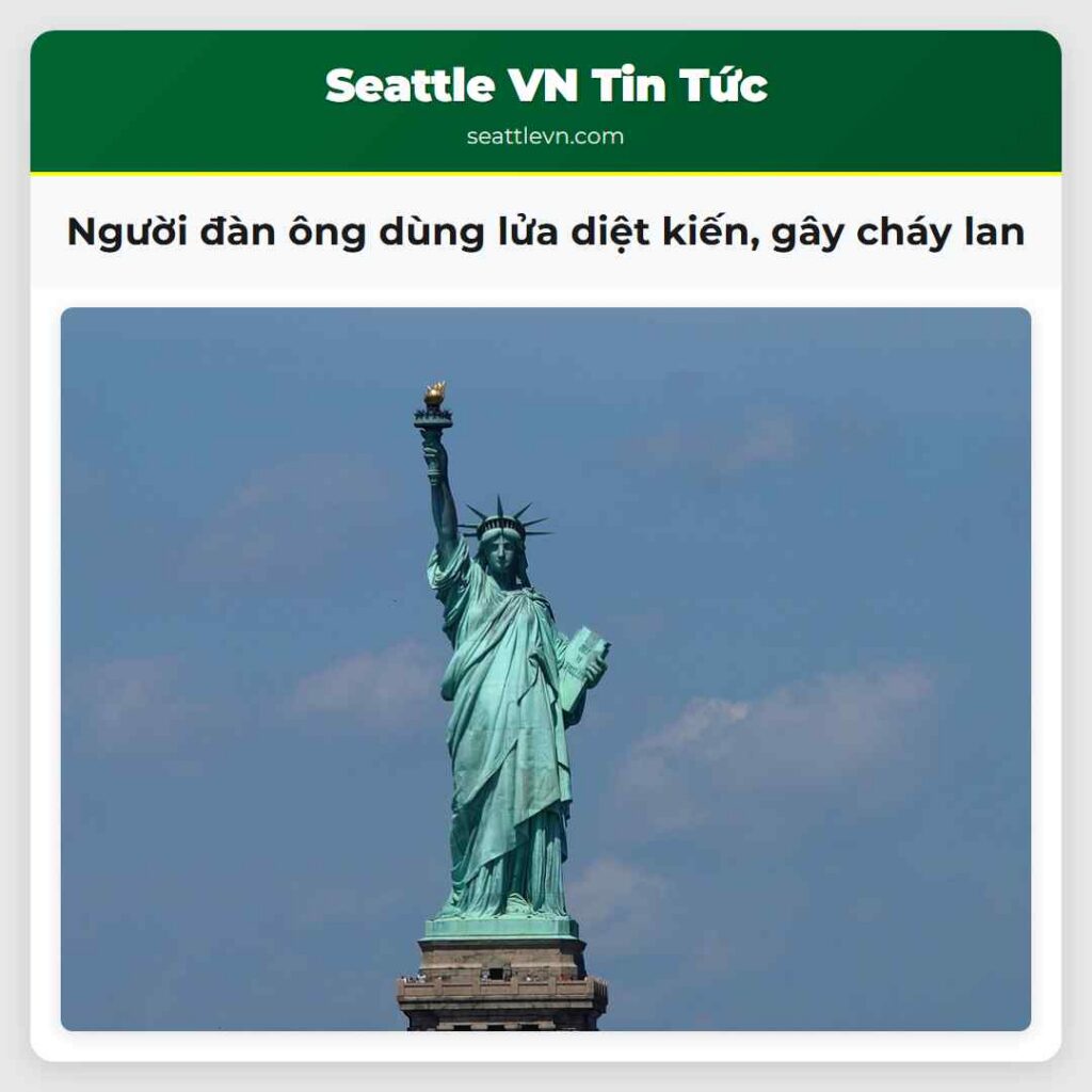 Người đàn ông dùng lửa diệt kiến, gây cháy lan