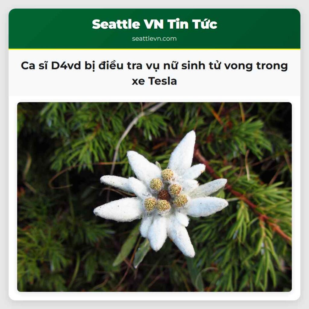 Ca sĩ D4vd bị điều tra vụ nữ sinh tử vong trong