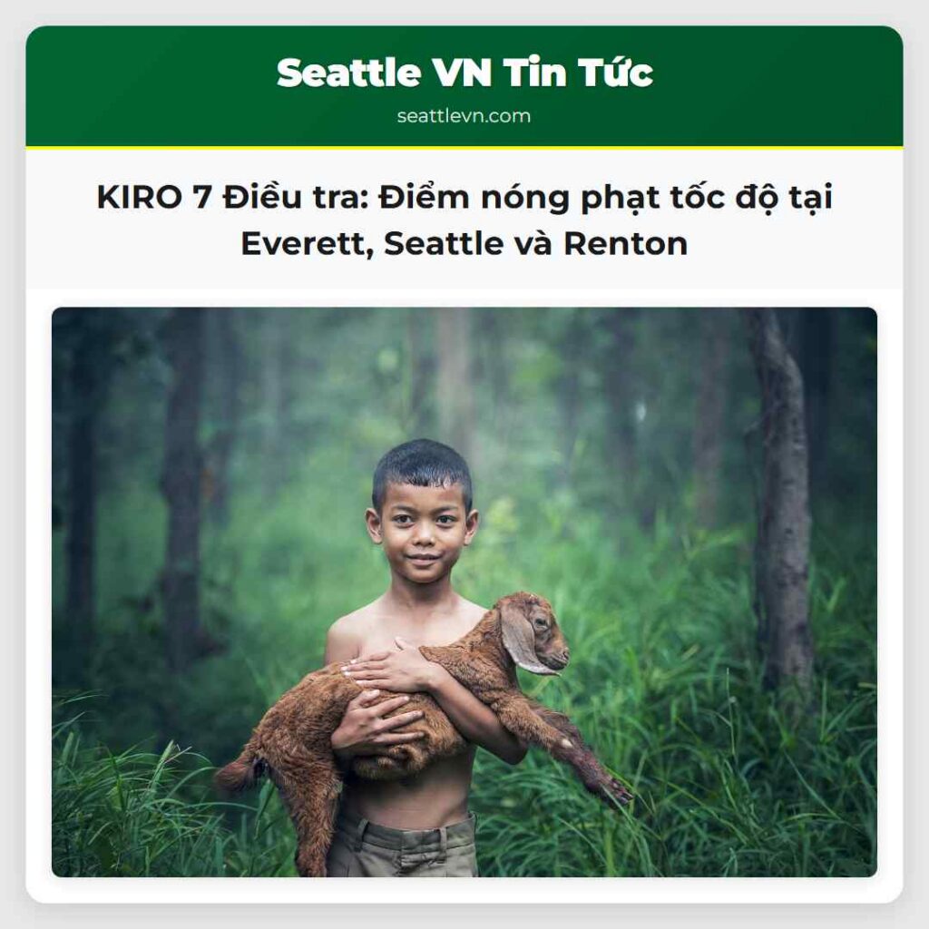 KIRO 7 Điều tra: Điểm nóng phạt tốc độ tại
