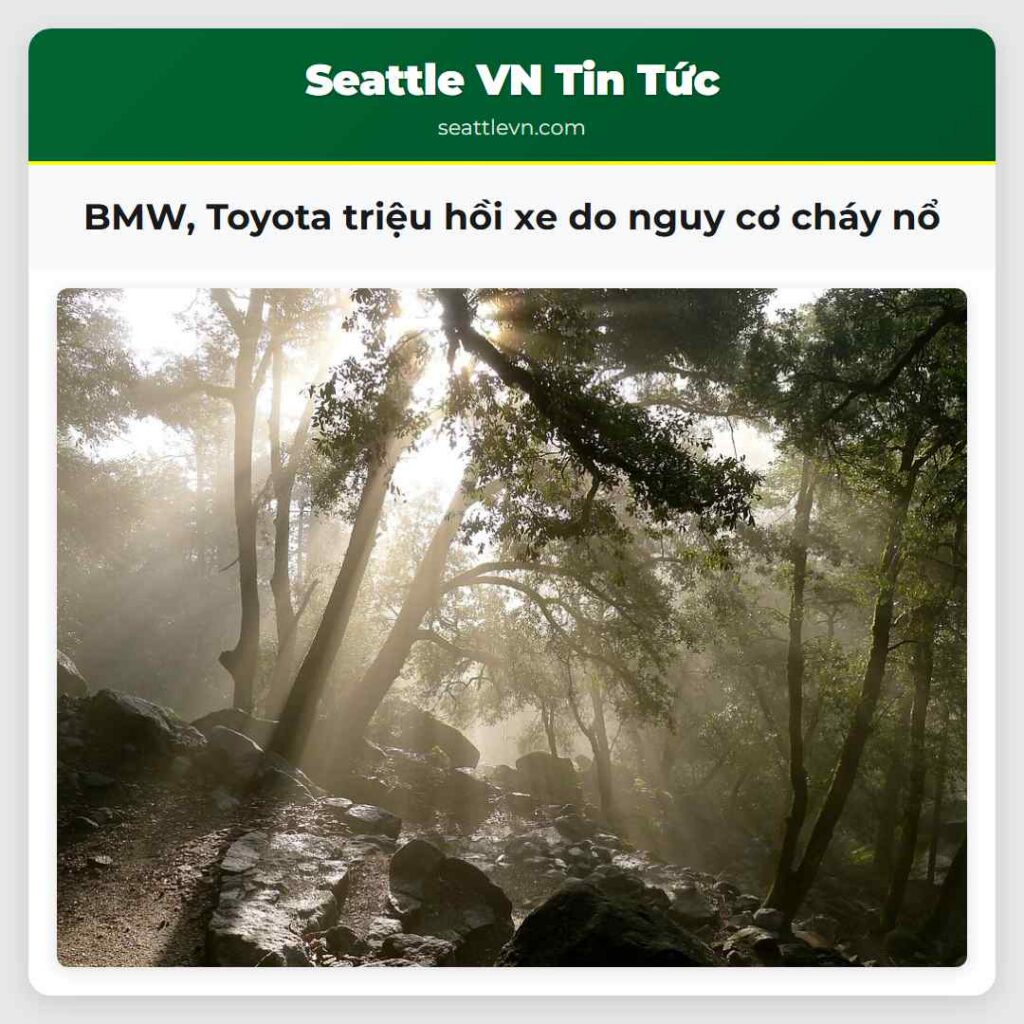 BMW, Toyota triệu hồi xe do nguy cơ cháy nổ