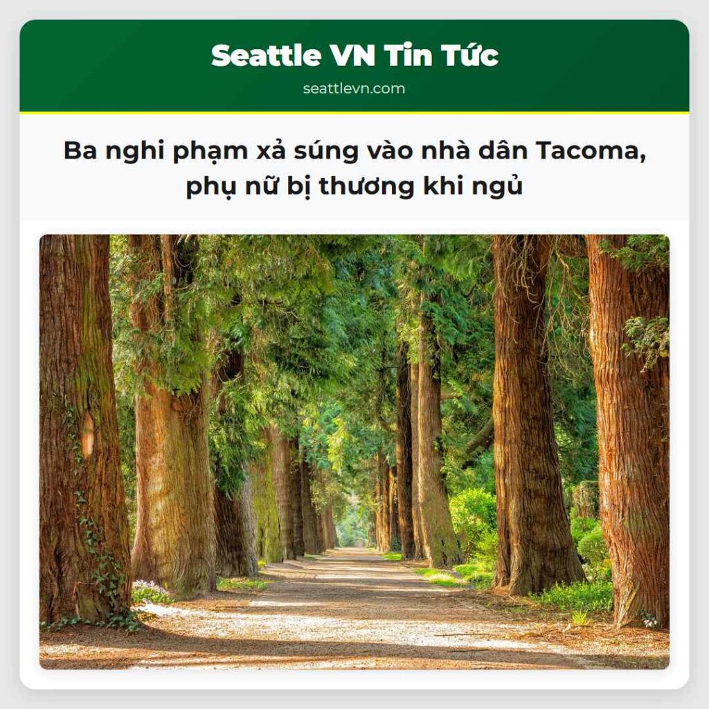 Ba nghi phạm xả súng vào nhà dân Tacoma, phụ nữ