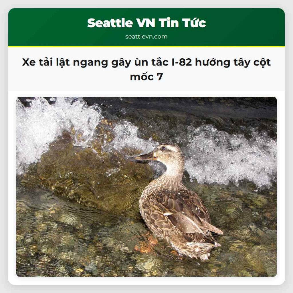 Xe tải lật ngang gây ùn tắc I-82 hướng tây cột