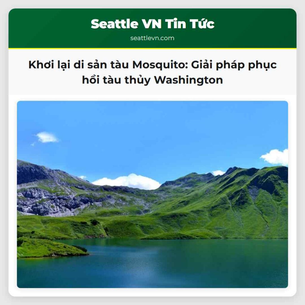 Khơi lại di sản tàu Mosquito: Giải pháp phục hồi