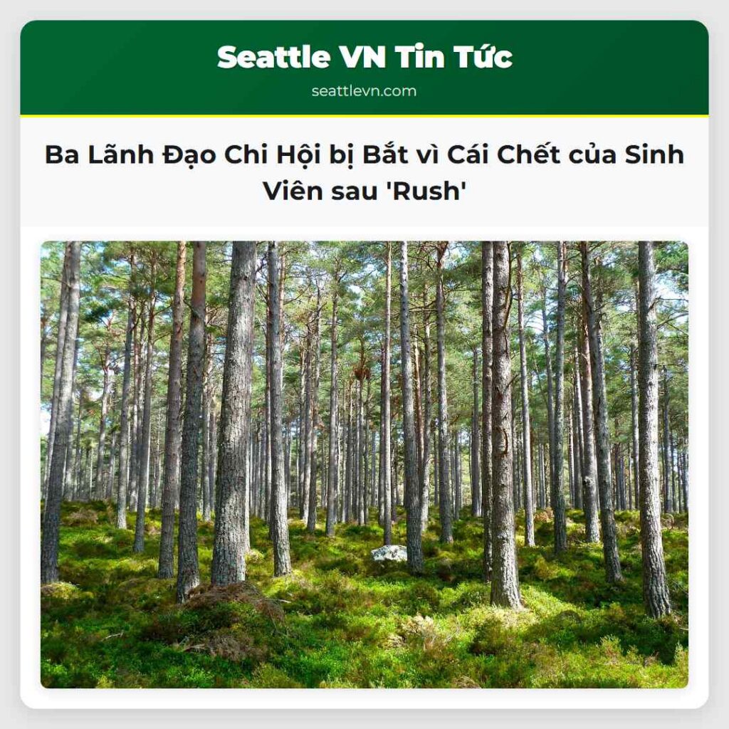 Ba Lãnh Đạo Chi Hội bị Bắt vì Cái Chết của Sinh