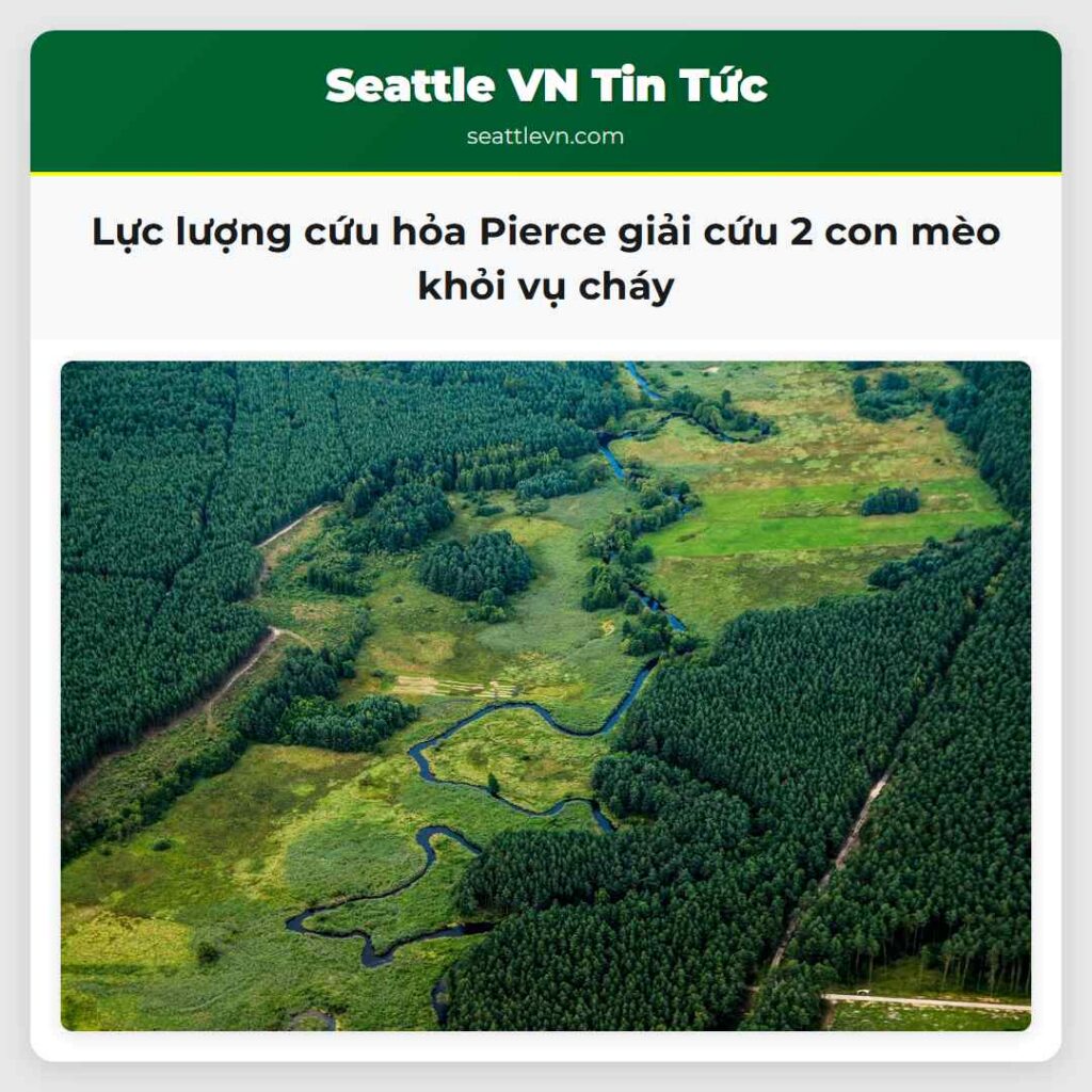 Lực lượng cứu hỏa Pierce giải cứu 2 con mèo khỏi