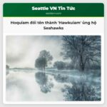 Thành phố Hoquiam Tạm Thời Đổi Tên Thành Hawkuiam để Thể Hiện Sự Ủng Hộ với Seattle Seahawks tại Super Bowl