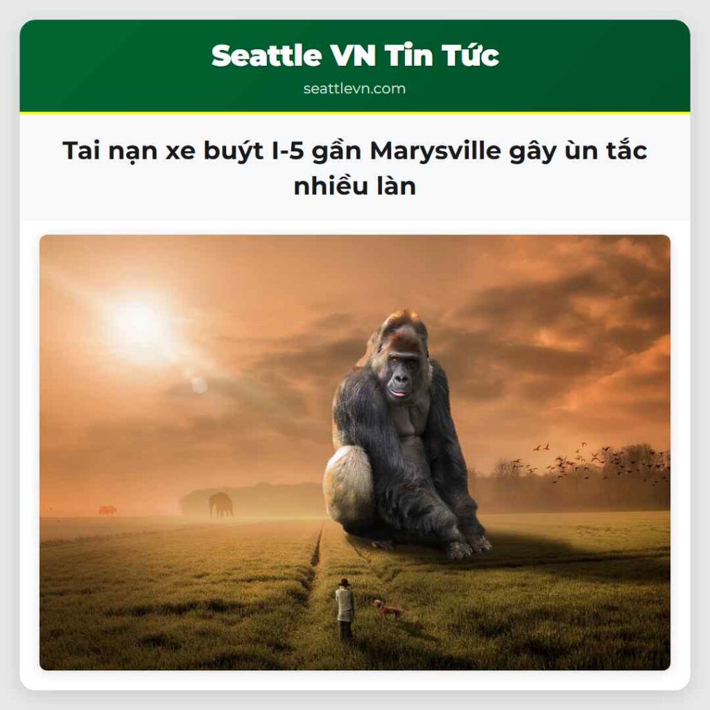 Tai nạn xe buýt I-5 gần Marysville gây ùn tắc