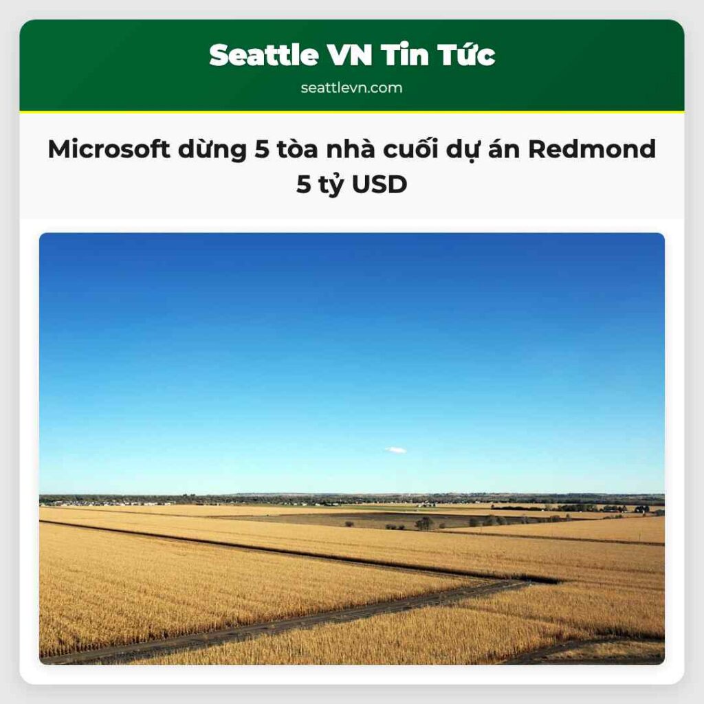 Microsoft dừng 5 tòa nhà cuối dự án Redmond 5 tỷ