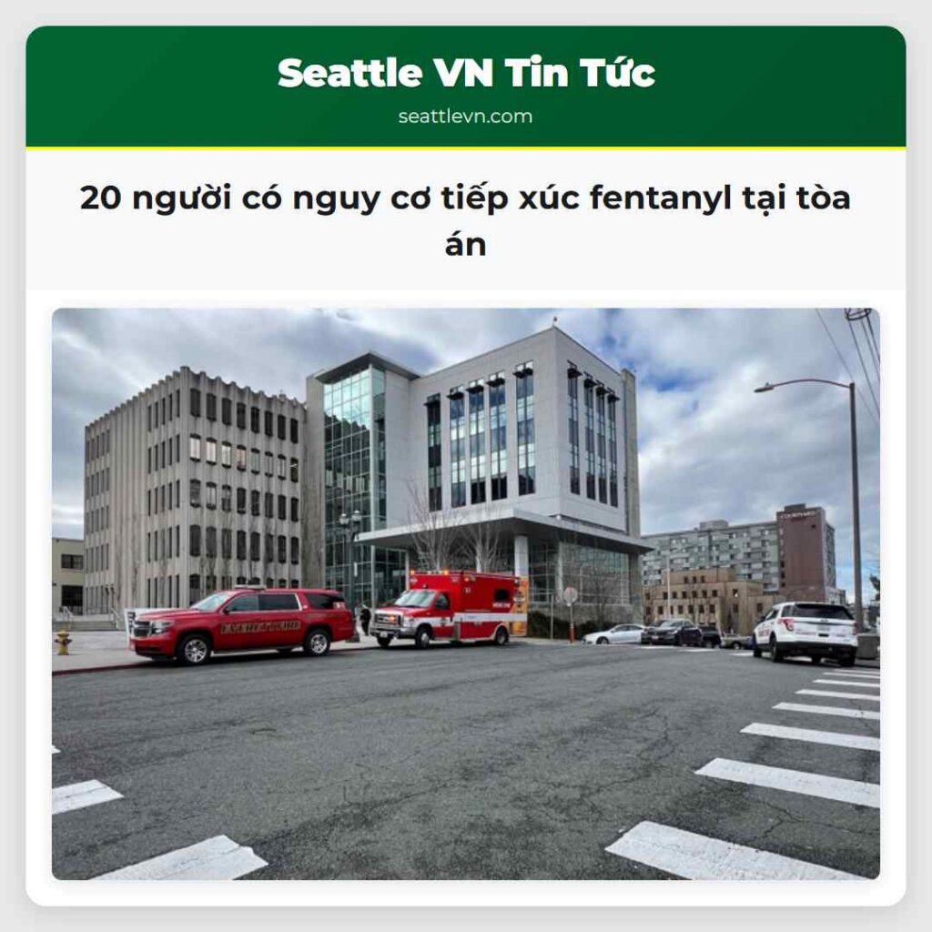 20 người có nguy cơ tiếp xúc fentanyl tại tòa án