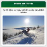 Người lái xe say rượu bỏ trốn sau tai nạn bị bắt tại nhà