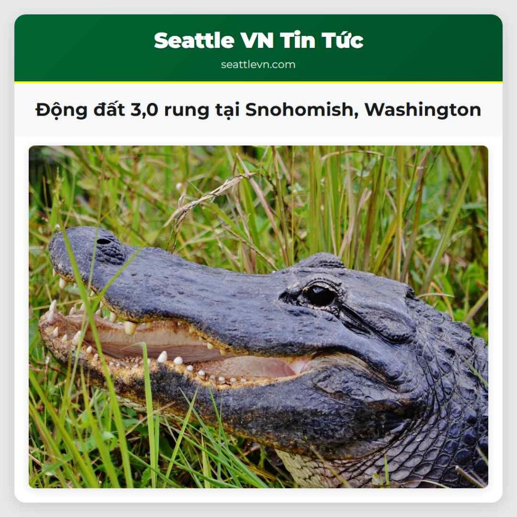Động đất 3,0 rung tại Snohomish, Washington
