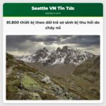 Cảnh báo khẩn cấp 81.800 thiết bị theo dõi trẻ sơ sinh bị thu hồi do nguy cơ cháy nổ