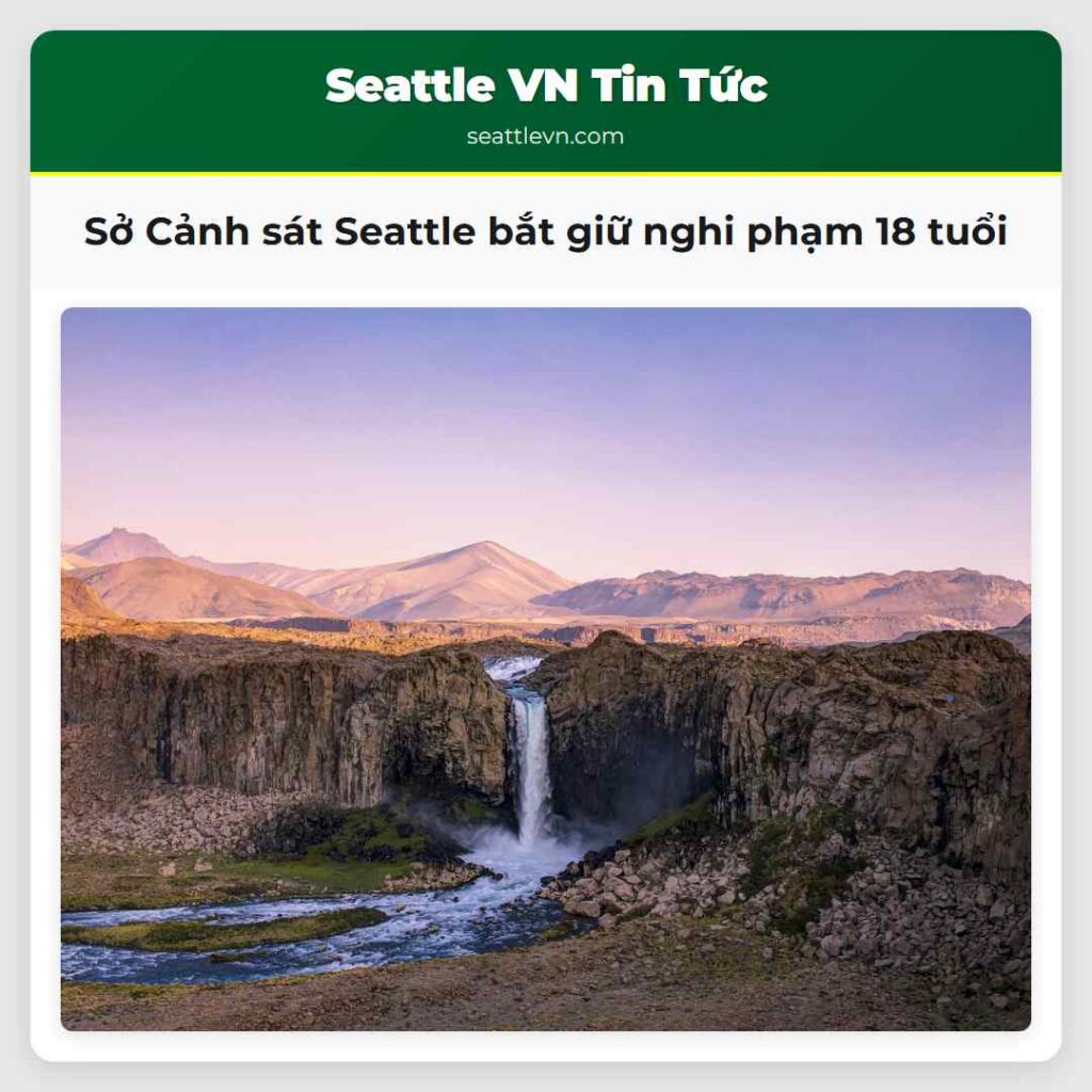 Sở Cảnh sát Seattle bắt giữ nghi phạm 18 tuổi
