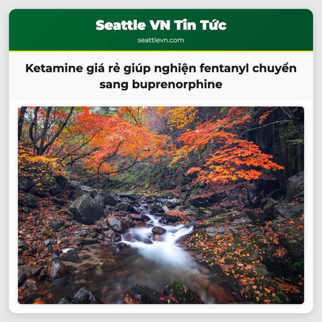 Ketamine giá rẻ giúp nghiện fentanyl chuyển sang