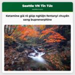 Phương pháp ketamine giá rẻ mở lối thoát cho người nghiện fentanyl