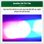 Cậu bé 16 tuổi bị xe cán qua tại bãi đỗ xe nghi phạm 16 tuổi bị bắt