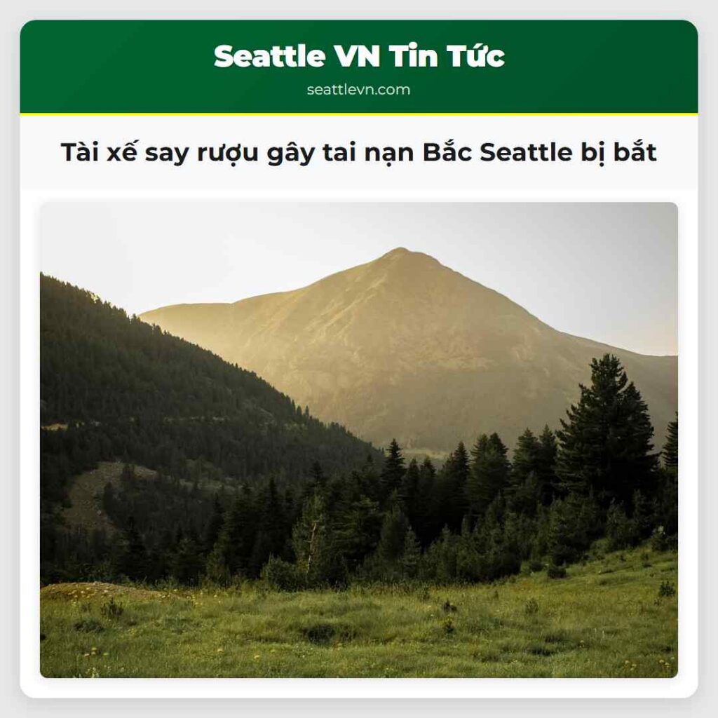 Tài xế say rượu gây tai nạn Bắc Seattle bị bắt