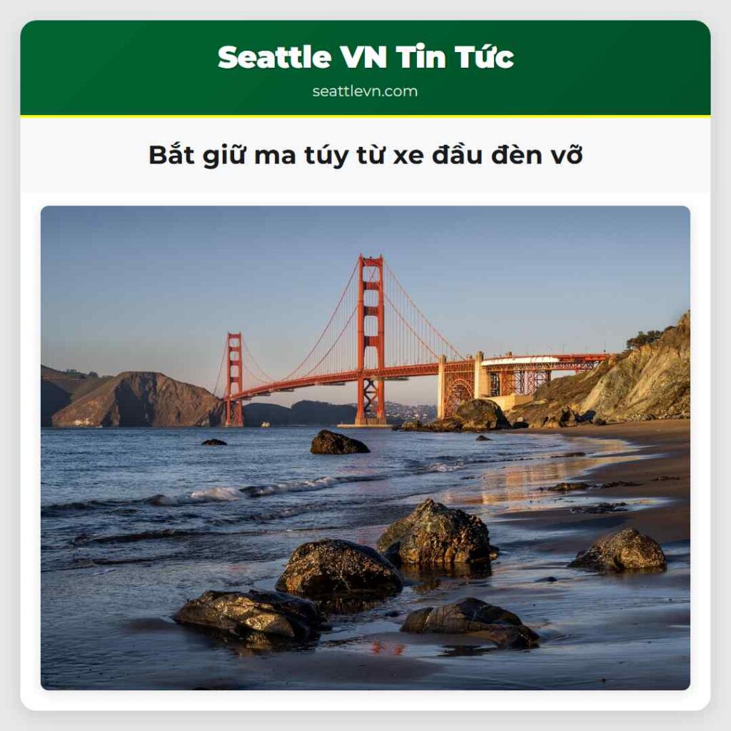 Bắt giữ ma túy từ xe đầu đèn vỡ