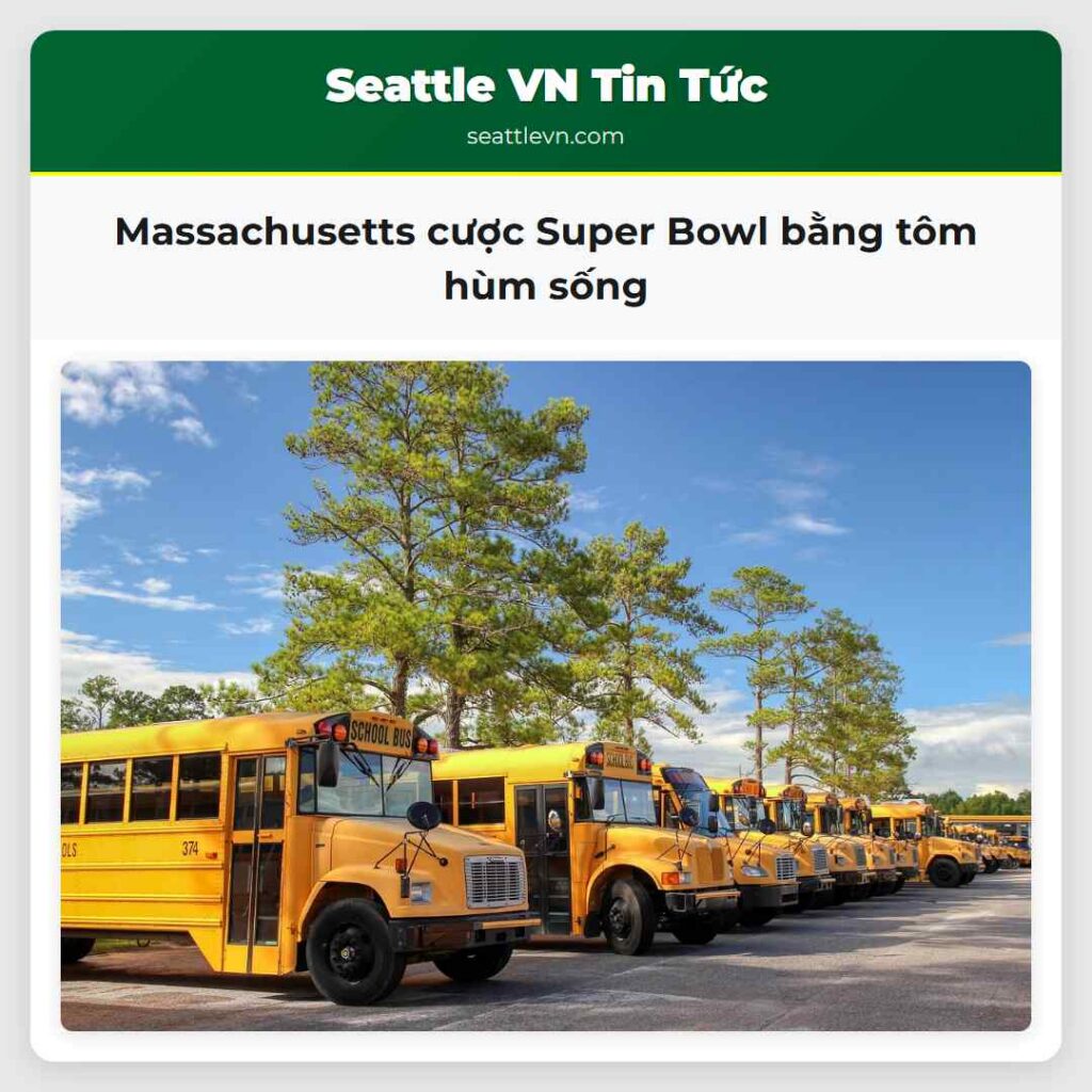 Massachusetts cược Super Bowl bằng tôm hùm sống